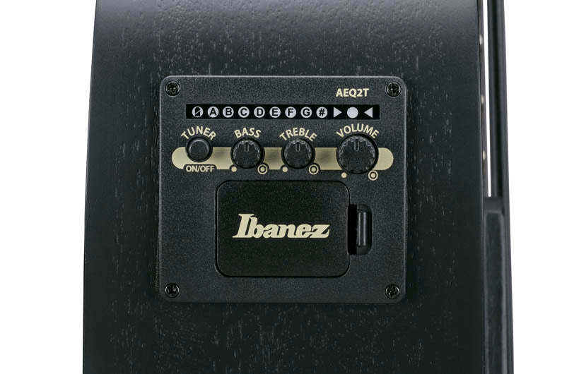 Ibanez AEGB420 BOT Bajo Electroacústico Black Out 6