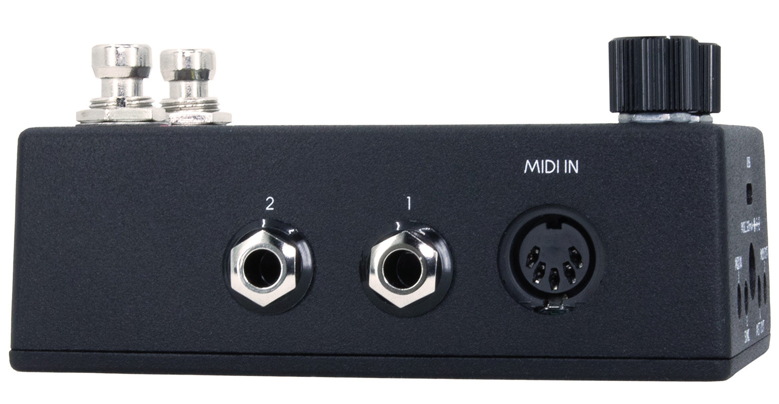 Walrus Canvas Clock Pedal Sincronizador MIDI 3