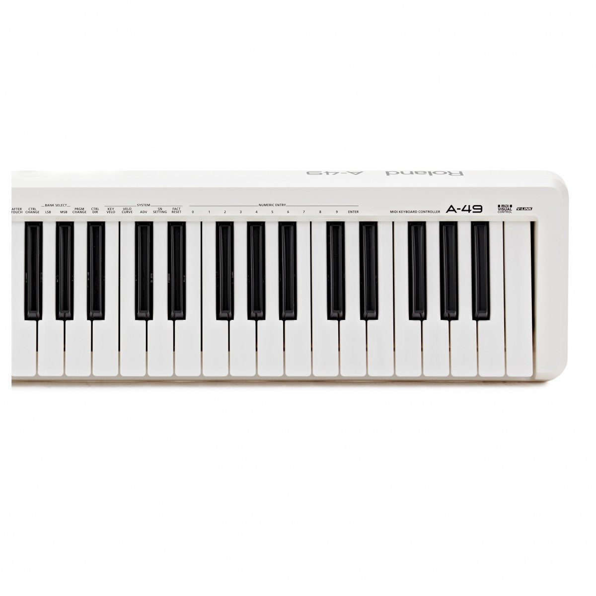 Roland A49 WH Teclado Controlador Midi USB 13