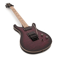 PRS Dustie Waring CE Floyd WB Guitarra Eléctrica Waring Burst 4