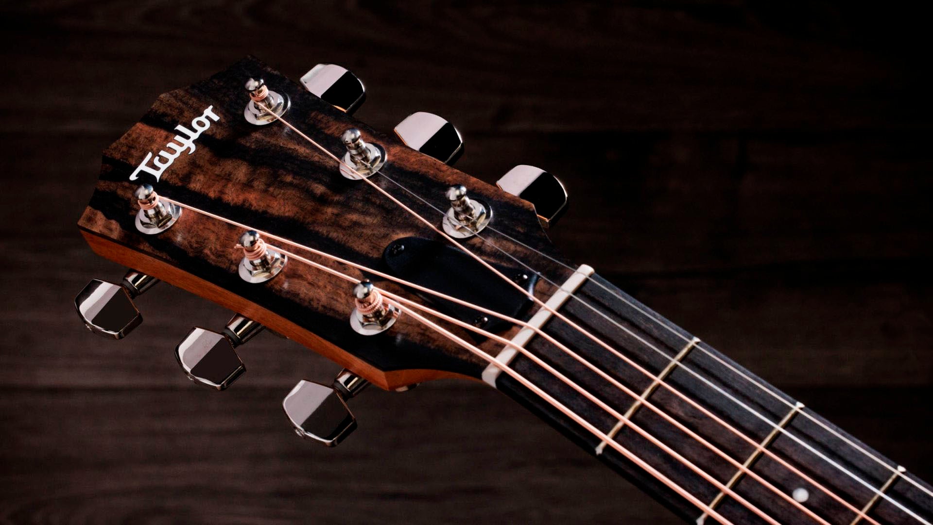 Taylor 214CE Plus Special Edition African Ziricote Guitarra Electroacústica Gran Auditorio 7