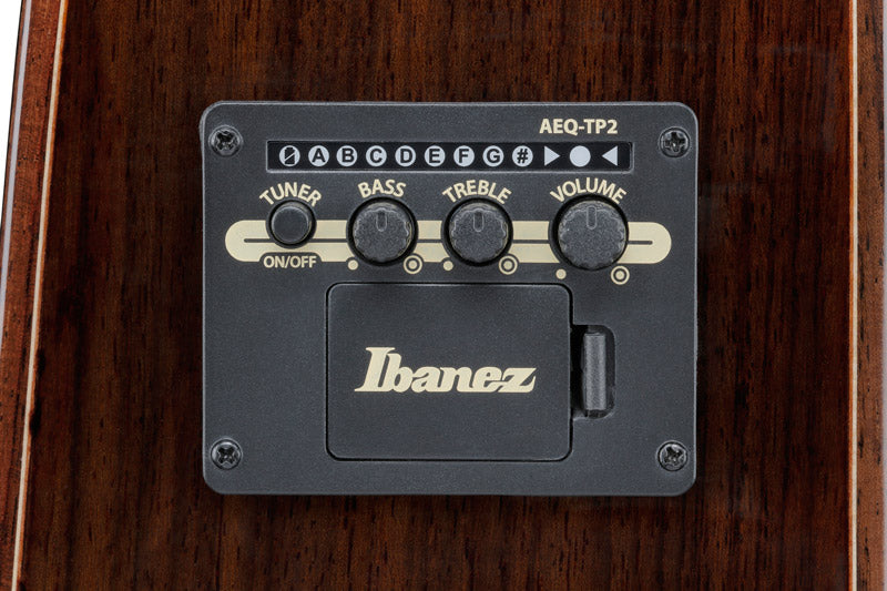 Ibanez AAD381CE NT Guitarra Electroacústica Dreadnought Natural 6