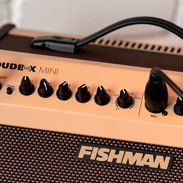 Fishman Loudbox Mini Bluetooth Amplificador Guitarra Acústica 14