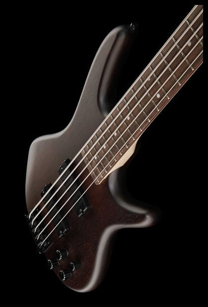 Ibanez GSR205B WNF Bajo Eléctrico 5 Cuerdas Walnut Flat 12