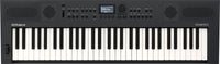 Roland Go-Keys 5 GT Teclado Portátil 61 Teclas Graphite 1