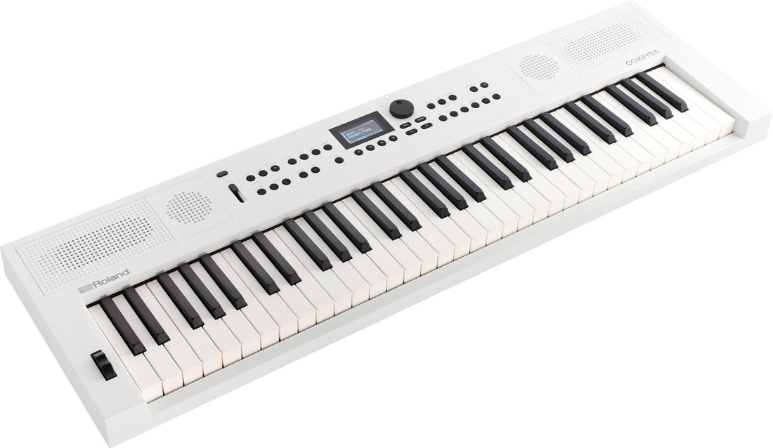 Roland Go-Keys 5 WH Teclado Portátil 61 Teclas Blanco 2