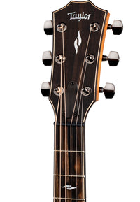 Taylor 814CE V-Class Guitarra Electroacústica Grand Auditorium 8