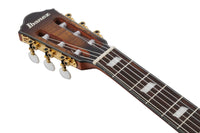 Ibanez FRH20QMN TCL Guitarra Española Electrificada Tobacco Burst 8