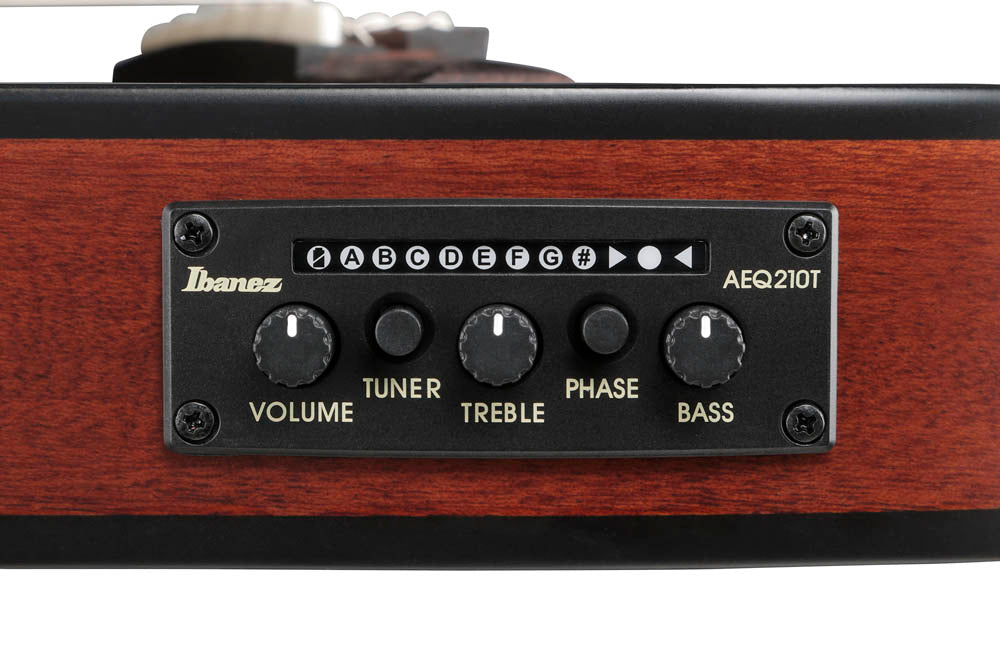 Ibanez FRH20QMN TCL Guitarra Española Electrificada Tobacco Burst 10