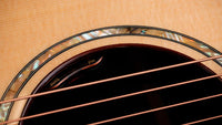 Taylor Legacy 914ce Guitarra Electroacústica Gran Auditorio 5