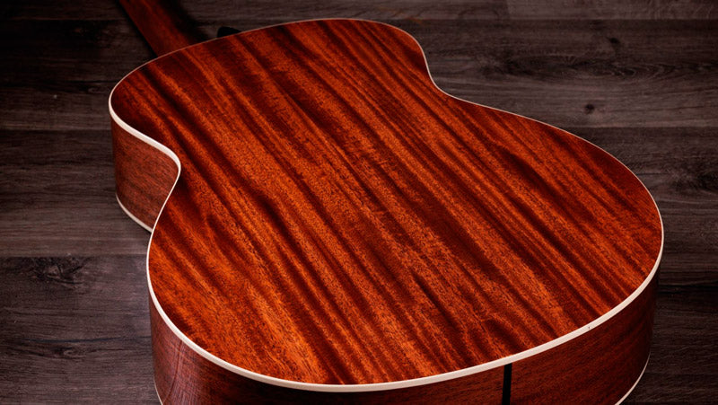 Taylor Gold Label 514E Guitarra Electroacústica Gran Auditorio 5