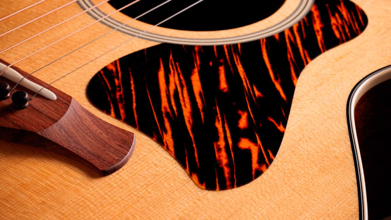 Taylor Gold Label 514E Guitarra Electroacústica Gran Auditorio 6