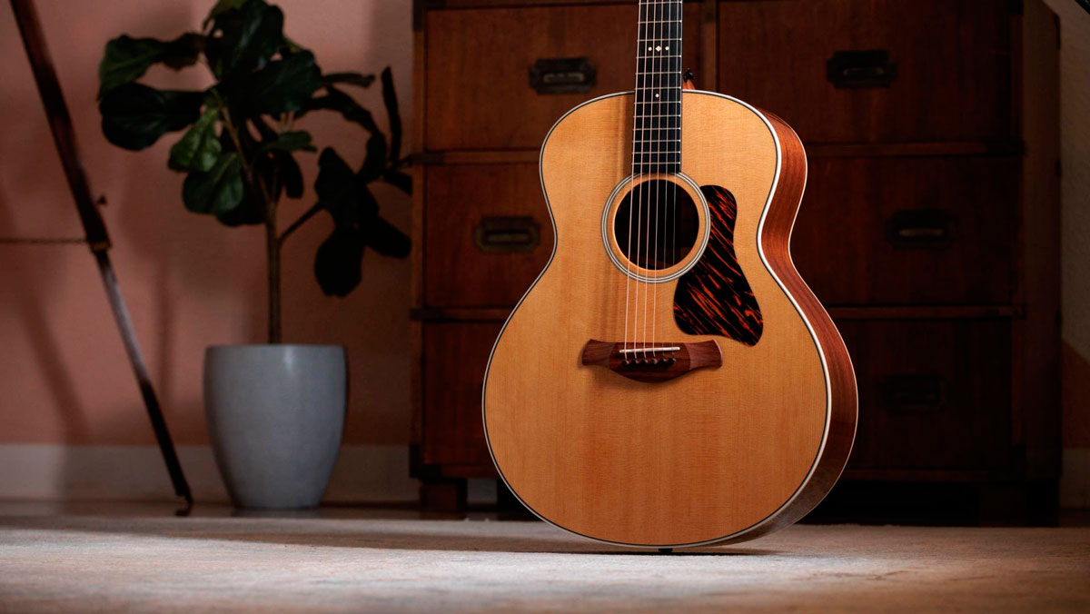 Taylor Gold Label 514E Guitarra Electroacústica Gran Auditorio 10