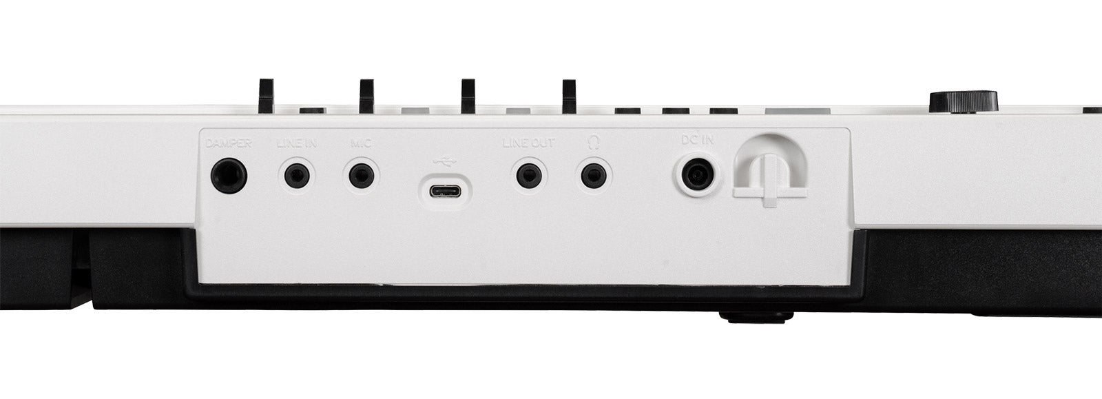 Korg Liano Live Piano Digital 3