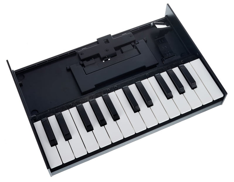 Roland K-25M Teclado para Módulos Boutique 2