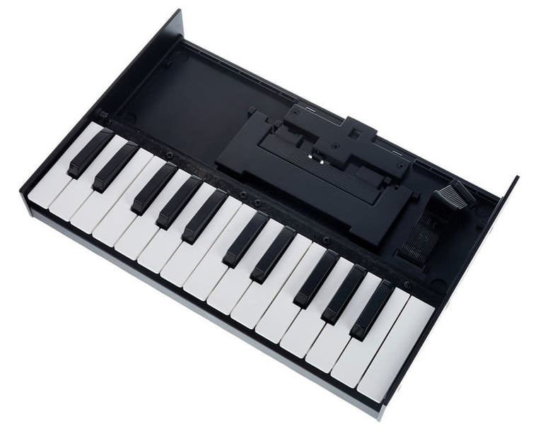 Roland K-25M Teclado para Módulos Boutique 4