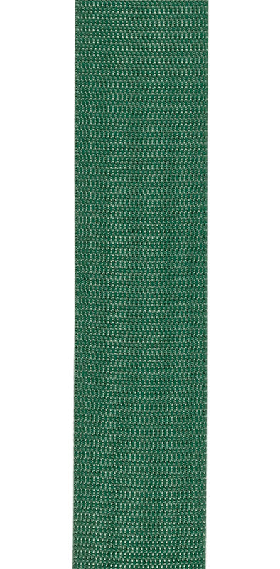 Daddario PWSAL407 Correa Guitarra Propileno Verde 2