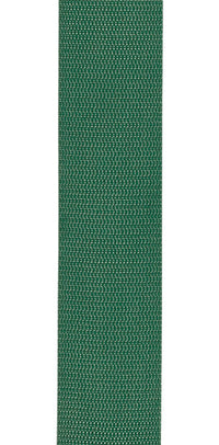 Daddario PWSAL407 Correa Guitarra Propileno Verde 2