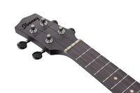 Ibanez UEW12E BIF Ukelele Electrificado Black Ice Flat 6