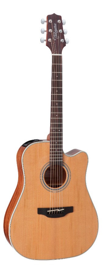 Takamine GD20CE NS Guitarra Electroacústica Dreadnought 1