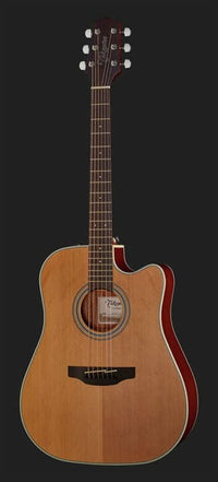 Takamine GD20CE NS Guitarra Electroacústica Dreadnought 15