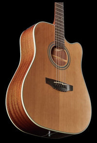 Takamine GD20CE NS Guitarra Electroacústica Dreadnought 21