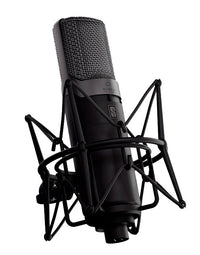 Slate Digital ML-1A Micrófono de Modelado de Estudio 1