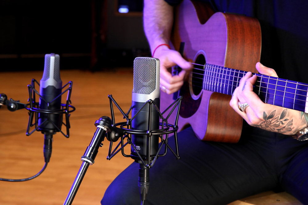 Slate Digital ML-1A Micrófono de Modelado de Estudio 2