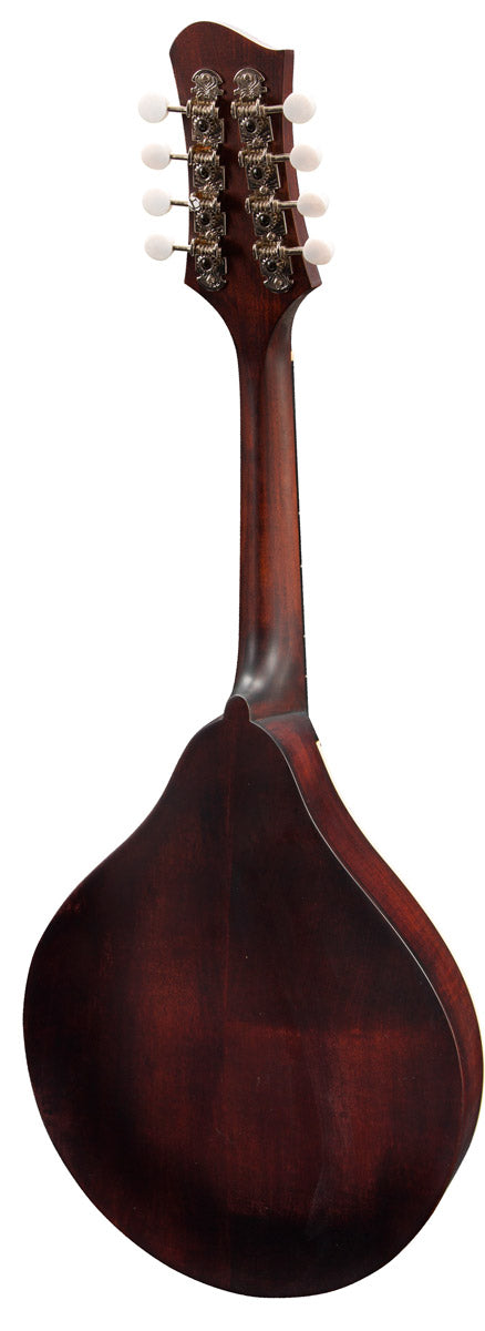 Eastman MD305 Mandolina 2