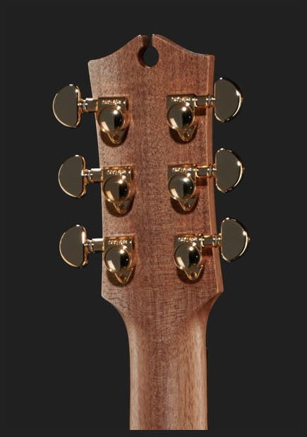 Maton EBG808 Artist Guitarra Electroacústica 808 Bluegrass 3