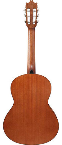 Ibanez GA2 OAM Guitarra Española 3/4 Open Pore Amber 3