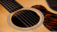 Taylor Gold Label 512E Guitarra Electroacústica Gran Concierto 3