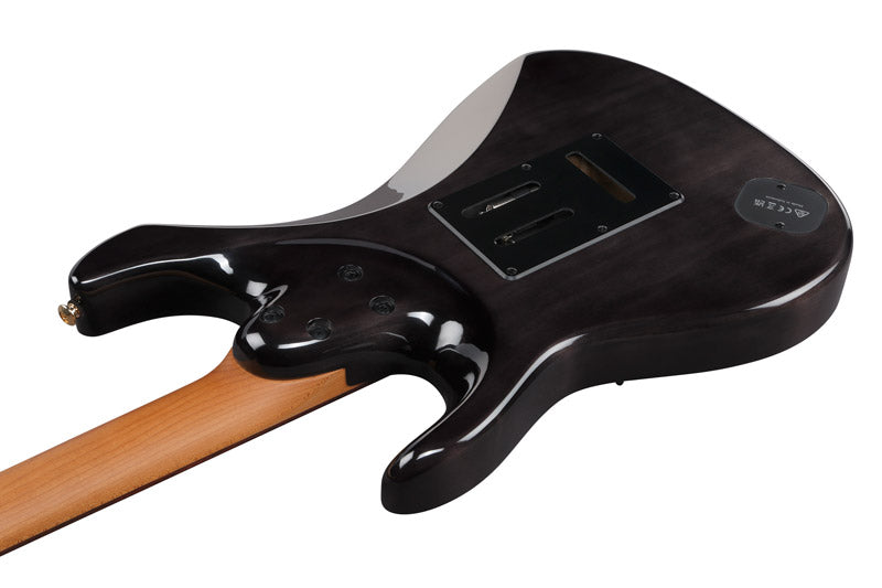 Ibanez AZ41P1PB TGB Guitarra Eléctrica Transparent Gray Burst 4