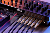 Korg Drumlogue Caja de Ritmos Hibrida 12