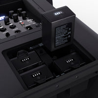 LD Systems ANNY12 Altavoz PA Bluetooth con Mezclador y Batería 4