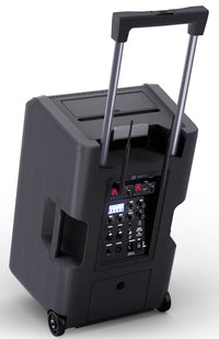 LD Systems ANNY12 BPH2 B5 Altavoz PA Bluetooth con Dos Micrófonos de Diadema 6
