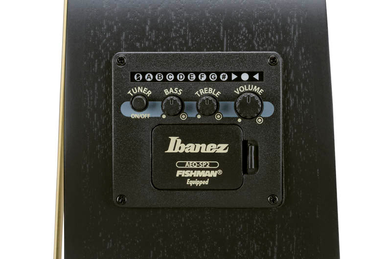 Ibanez AEWC621L BOT Guitarra Electroacústica para Zurdos Black Out 6
