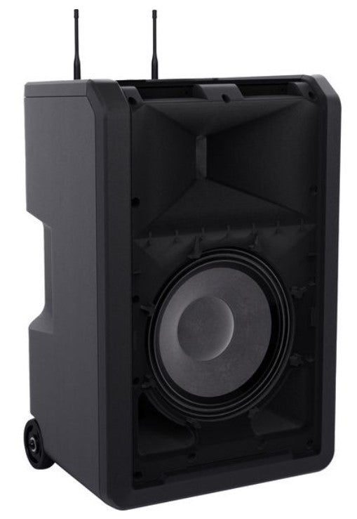 LD Systems ANNY10 BPH2 B5 Altavoz PA Bluetooth con dos Micrófonos de Diadema 10