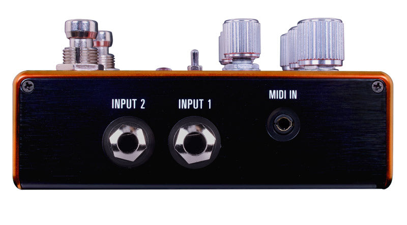 Source Audio SA281 Pathways Pedal Reverb y Trémolo 3