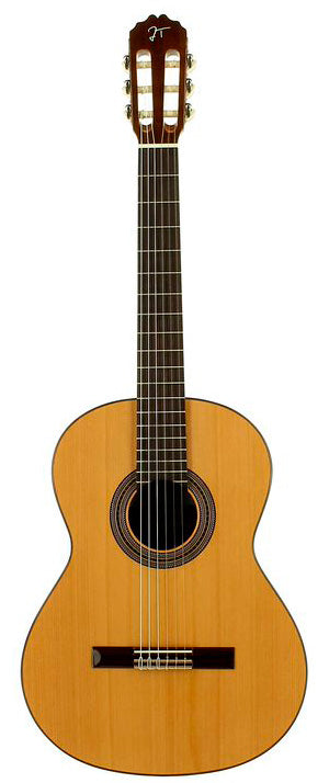 Jose Torres JTC20 + JTB10 Guitarra Española con Funda 2