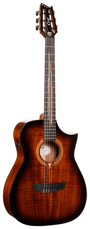 Cort Frank Gambale Luxe II Nylon BKB Guitarra Acústica Concierto con Cuerdas de Nylon 1