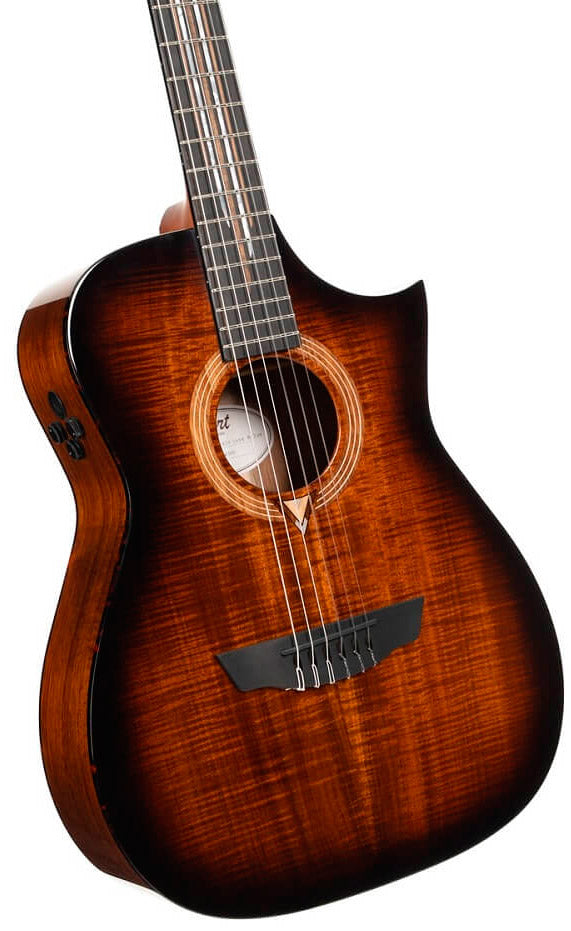 Cort Frank Gambale Luxe II Nylon BKB Guitarra Acústica Concierto con Cuerdas de Nylon 3