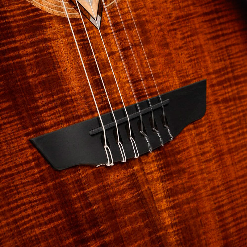 Cort Frank Gambale Luxe II Nylon BKB Guitarra Acústica Concierto con Cuerdas de Nylon 5