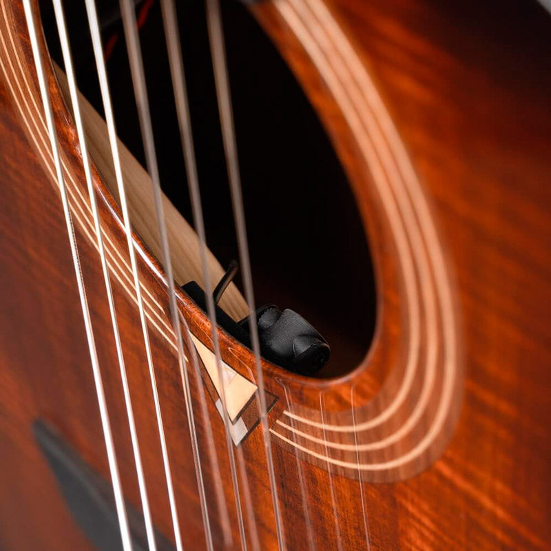 Cort Frank Gambale Luxe II Nylon BKB Guitarra Acústica Concierto con Cuerdas de Nylon 8