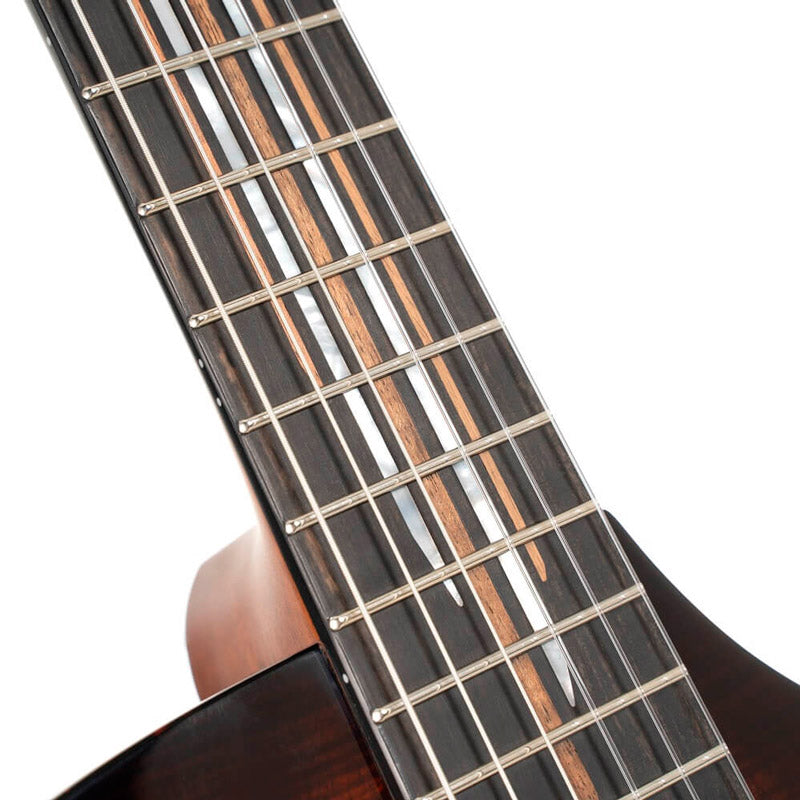 Cort Frank Gambale Luxe II Nylon BKB Guitarra Acústica Concierto con Cuerdas de Nylon 9