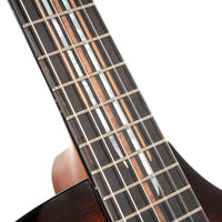 Cort Frank Gambale Luxe II Nylon BKB Guitarra Acústica Concierto con Cuerdas de Nylon 9