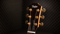 Taylor GS Mini E Rosewood Ltd 50Th Anniversary Guitarra Electroacústica 10