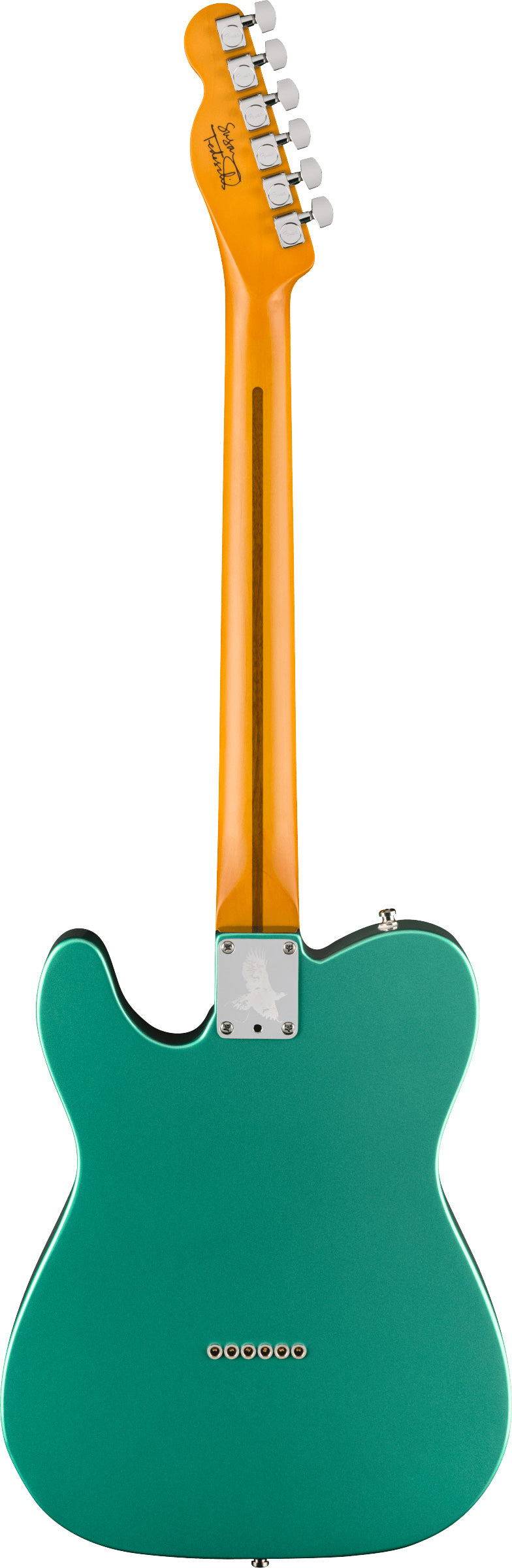 Fender Susan Tedeschi Telecaster RW Guitarra Eléctrica Aged Caribbean Mist 2