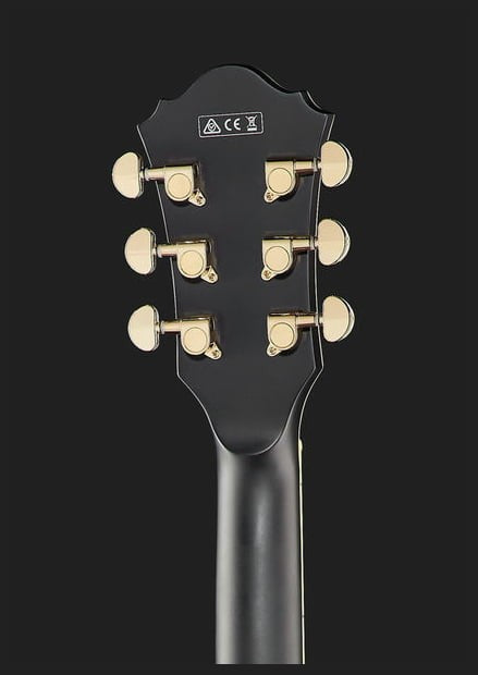 Ibanez AF75G BKF Guitarra Eléctrica Hollow Body Black Flat 14