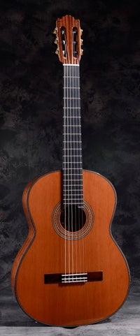 Aranjuez ES10S Guitarra Española 1